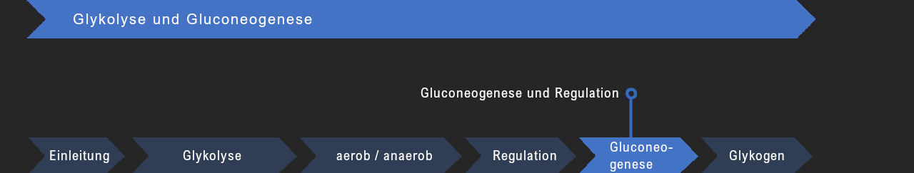 Gluconeogenese